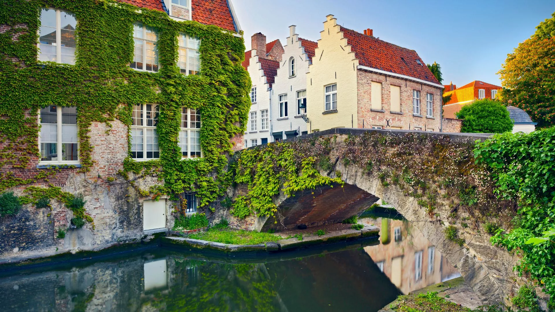 ‘There are just too many visitors’: How is Bruges tackling overtourism?