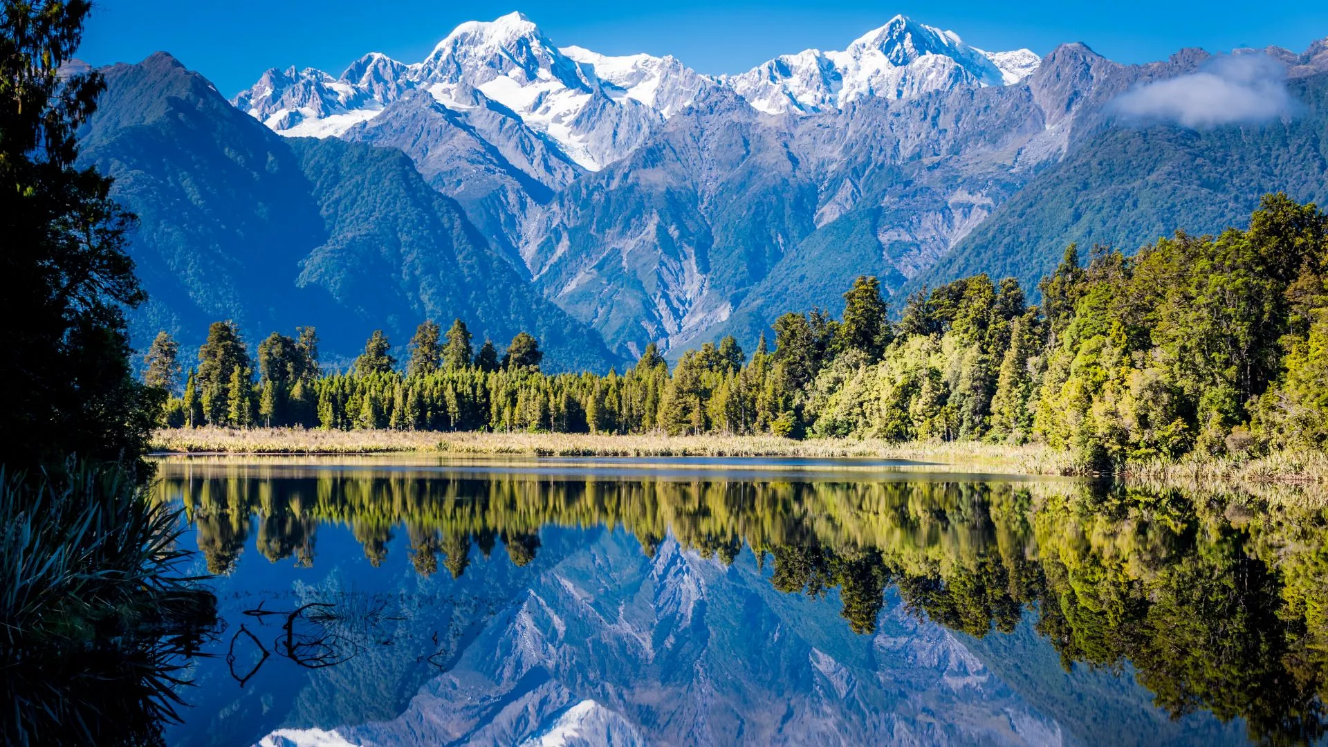 New Zealand is tripling its visitor tax. Here’s how it could impact nature and tourism